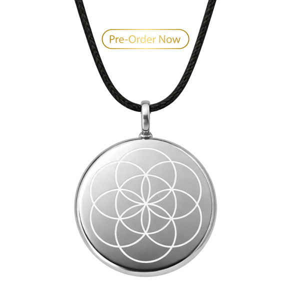 The One in Platinum
