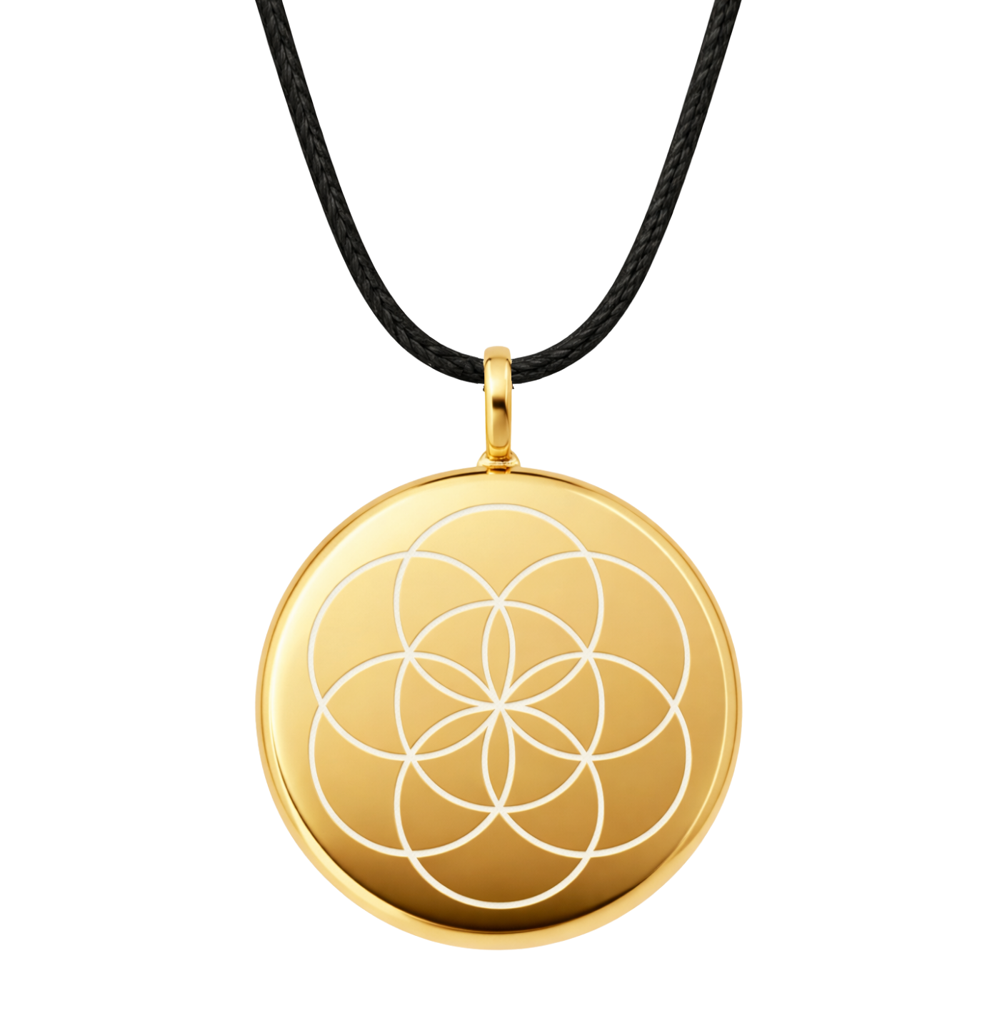 The One in 24K Gold