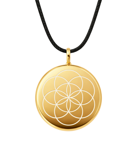 The One in 24K Gold