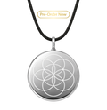 The One in Platinum