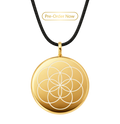 The One in 24K Gold