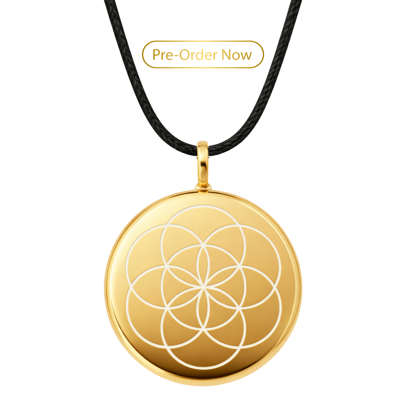 The One in 24K Gold