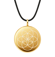 The OneDevice in 24K Gold pendant on black cord