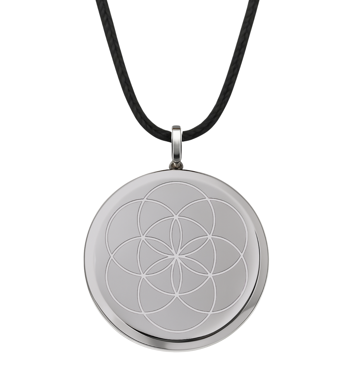 The One in Platinum - Pre-Order
